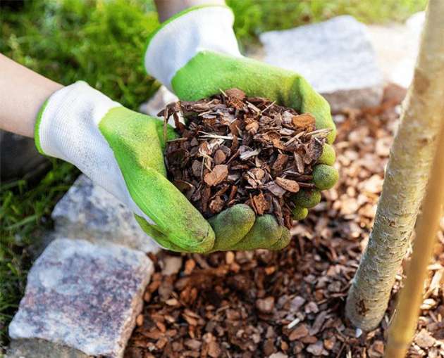 Finest Mulch Atlanta Bulk Mulch Supplier in Atlanta, GA Brown Mulch