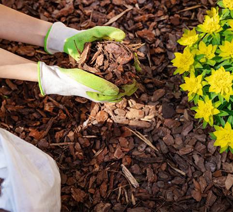 holding-mulch