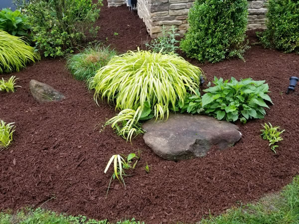 Image of Compost mulch for landscaping