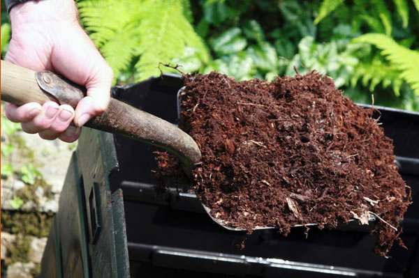 Image of Organic compost suburban lawn and garden mulch