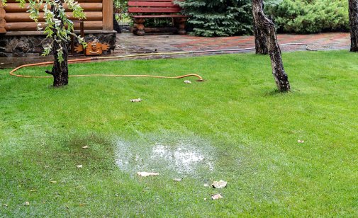 Fixing Water Issues in Your Garden and Landscaping