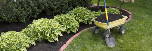 Questions About Winter Mulching