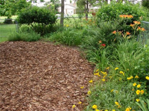 Benefits of Mulch for Your Landscaping