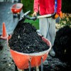 Top Questions About Mulch