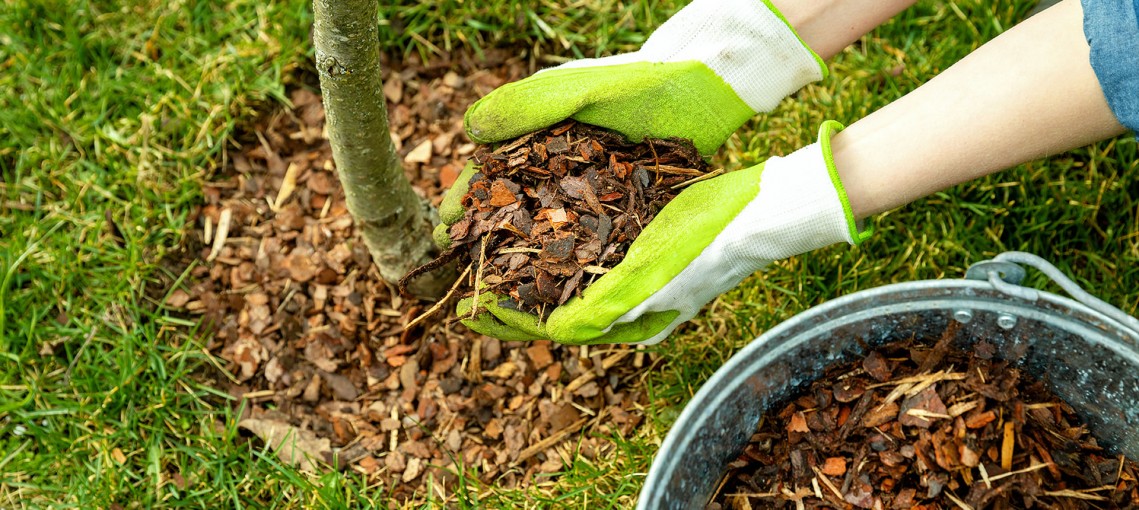 Mulch Products